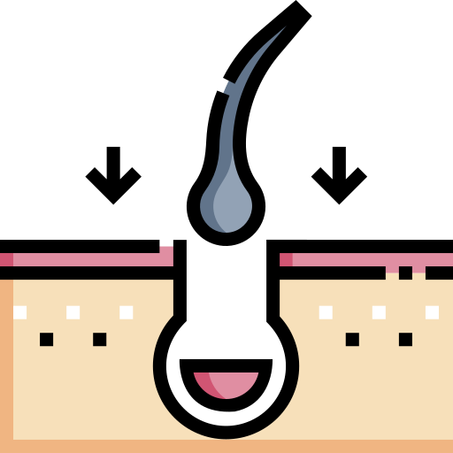 Hair Transplant